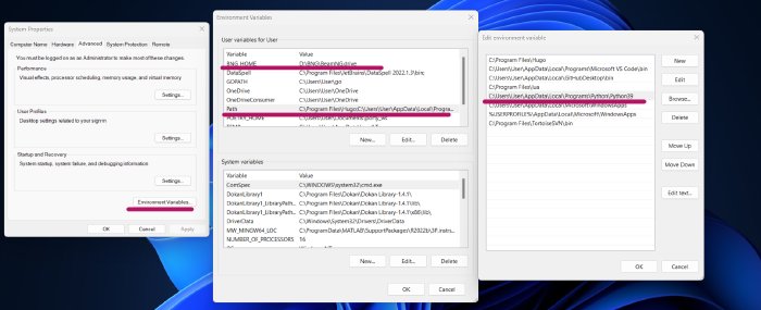 Environment variables