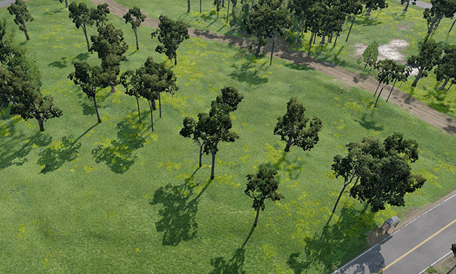 Trees_oak placed on Grass2 mask terrain mask - Brush Density 0.4