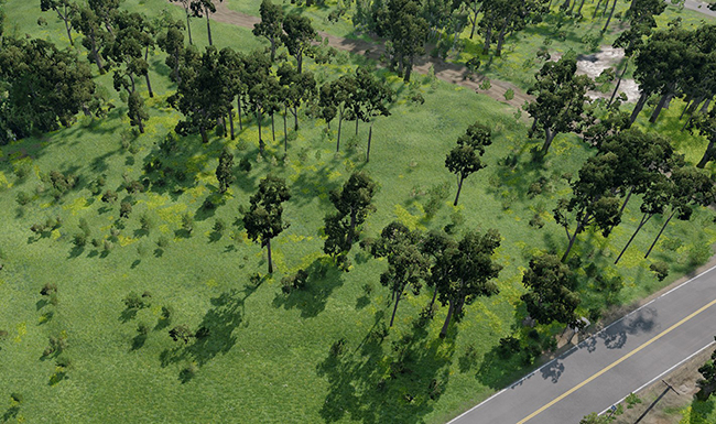 Trees_oak placed on Grass2 mask terrain mask - Brush Density 0.4, Border Density 0.6, Falloff 4